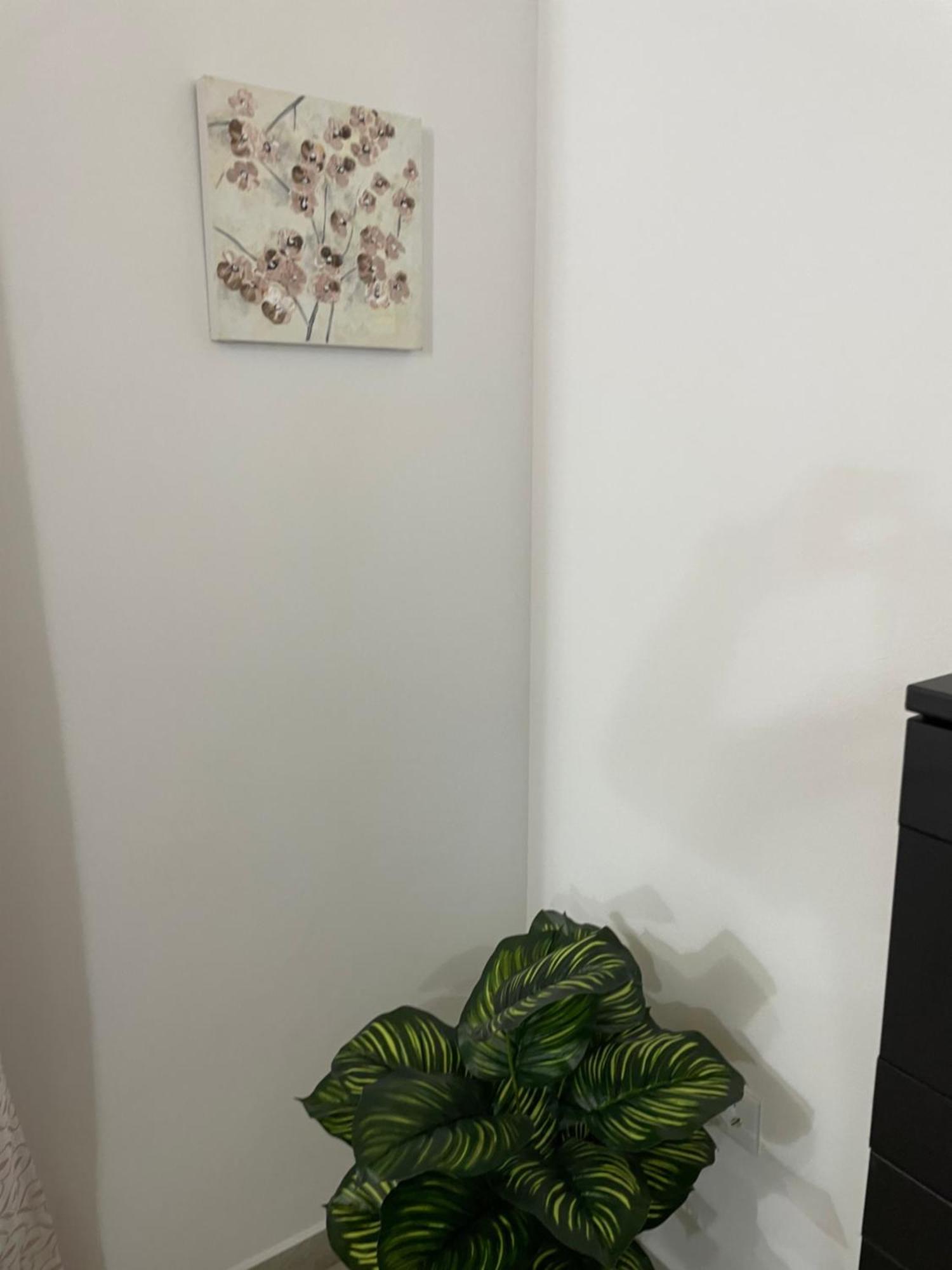 Apartament Casa Delia Bornos Zewnętrze zdjęcie
