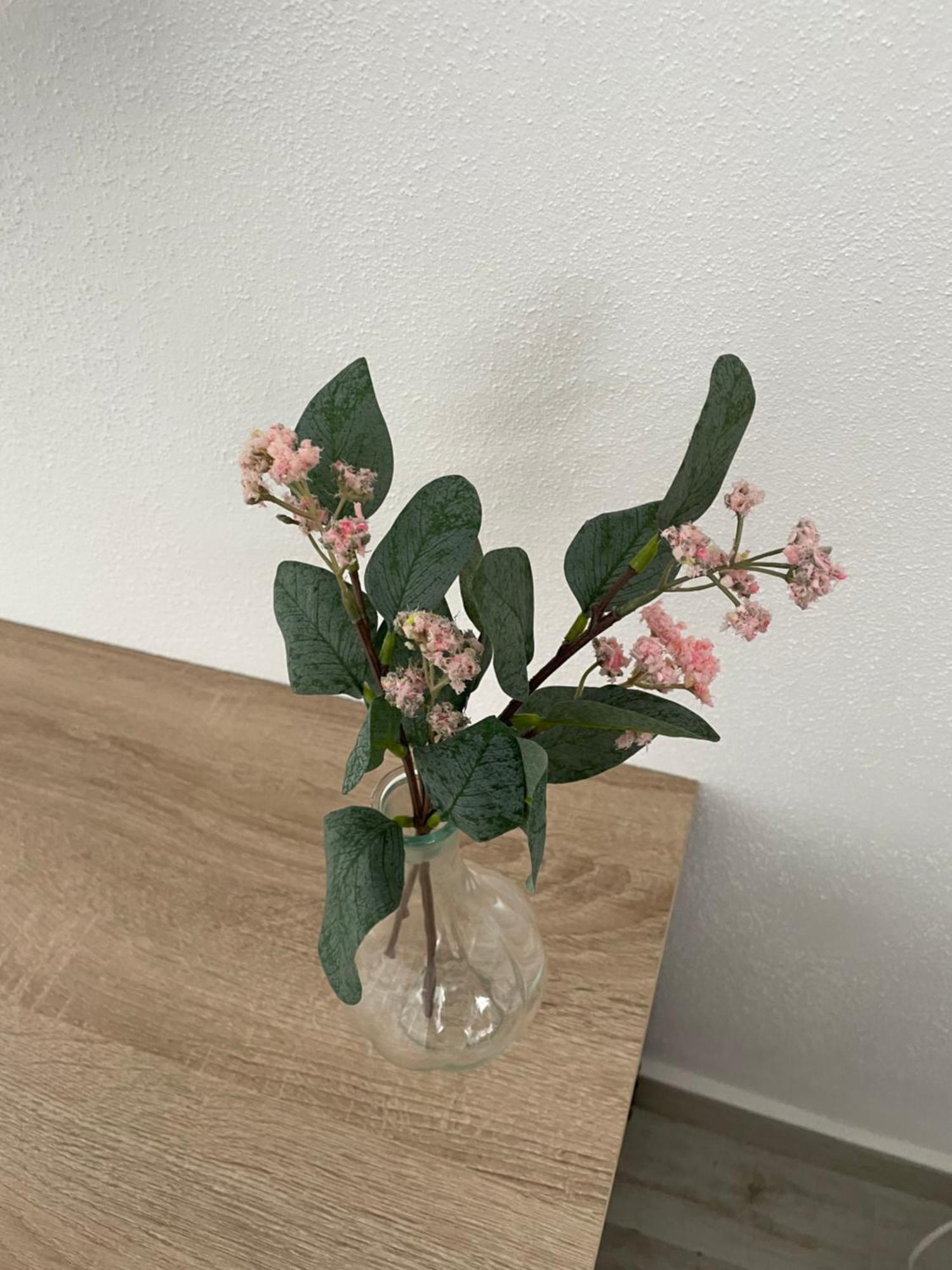 Apartament Casa Delia Bornos Zewnętrze zdjęcie